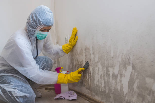 Best Dehumidification Services  in Redland, TX