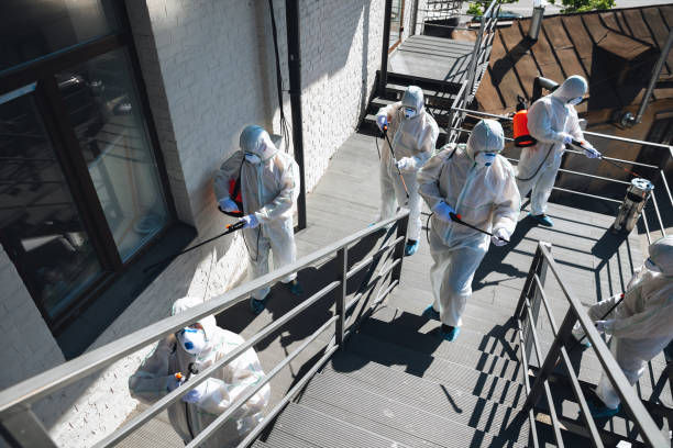 Best Attic Mold Removal  in Redland, TX