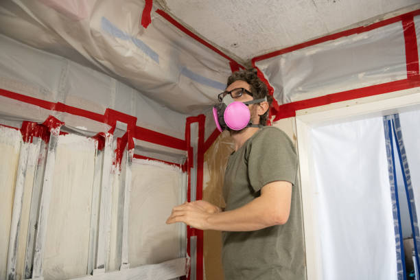 Best Comprehensive Air Testing for Mold Contaminants  in Redland, TX
