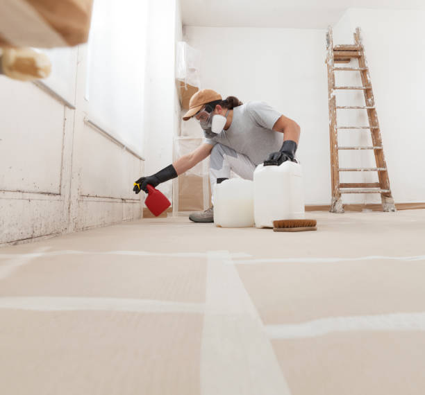 Best HVAC Mold Inspection and Cleaning  in Redland, TX