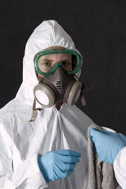 Best Mold Remediation for Healthcare Facilities  in Redland, TX